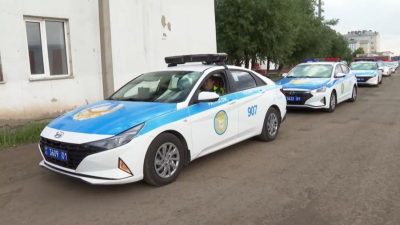 Елімізде