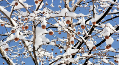 16 өңірде ауа райына байланысты ескерту жарияланды