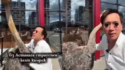 Астанада түйеқұсқа зорлық көрсеткендер жұртты ашуландырды (ВИДЕО)