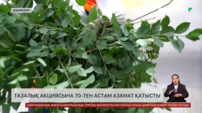 Семей мен Шымкент қаласында «Таза Қазақстан» шарасы өтті