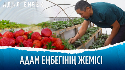 Сүйікті ісімен айналысқан кәсіпкер жылыжайын жайқалтып отыр