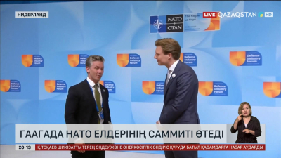 Гаагада