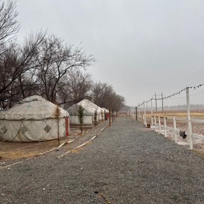 Әкімшілік киіз үй тұрғызғандарға айыппұл салды