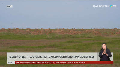 БҚО-да «Бөкей орда» резерватының бас директоры қамауға алынды
