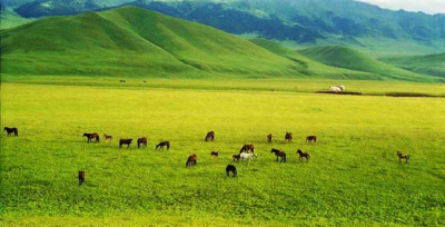 Президент жайылымдық жерлердің кімдерге берілуі керектігін нақты айтты