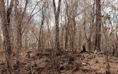 Оралда екі ай бұрын жоғалған 26 жастағы жігіт өлі табылды