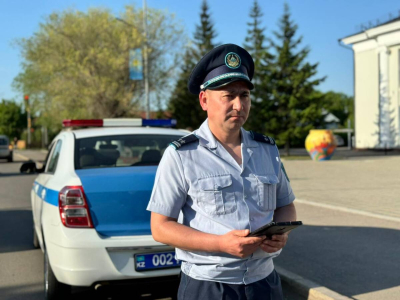 СҚО-да полицейлер айыппұл бойынша берешегі бар 210 шетел азаматын анықтады