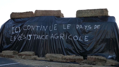 Францияда індеттен ірі қара мал қырылды