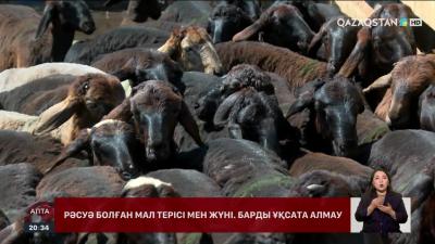 Малдың терісі мен жүнінен экспорттық баж салығы алынып тасталды
