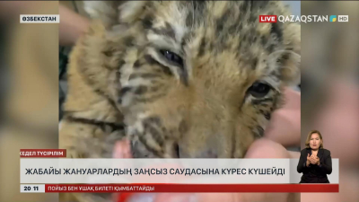 Өзбекстанда жабайы жануарлардың заңсыз саудасына күрес күшейді