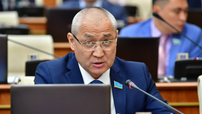 Еділ Жаңбыршин: Жануарларға қатігездік танытқандар жауапкершілікке тартылады
