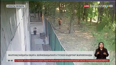 Жеткіншекті талап тастаған иттердің иесі бейнебақылауға түскен кадрларды жариялады