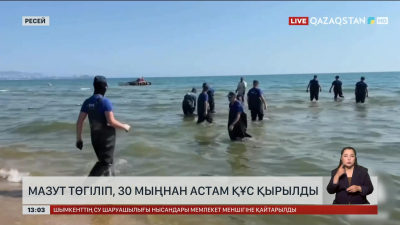 Қара теңізге ресейлік мазут төгілді