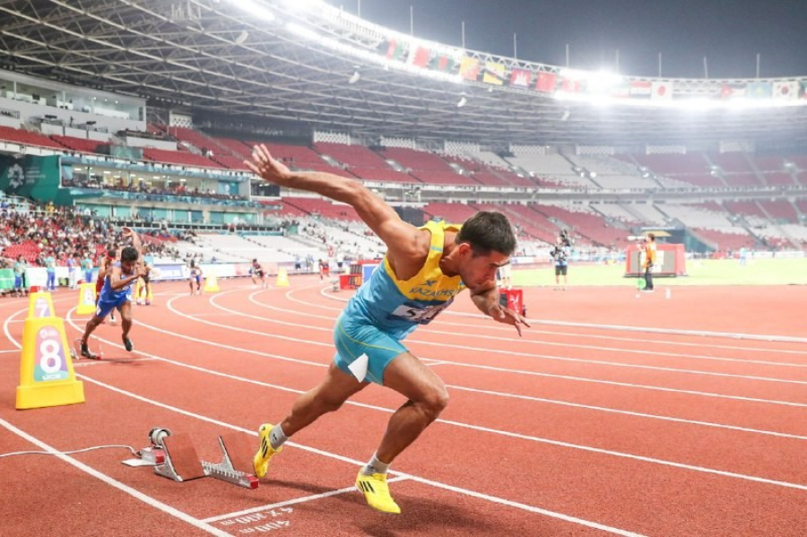 Кәрі ханымдар кискаларының жақыннан түсірілген суреттері