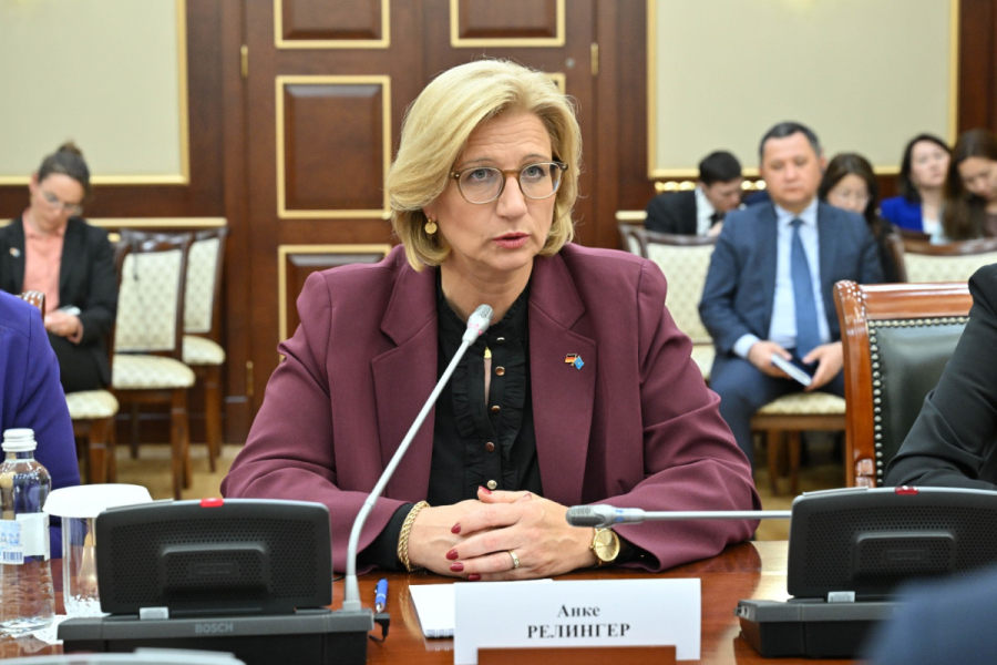 Мәжіліс төрағасы Германия Бундесратының Президентімен кездесті