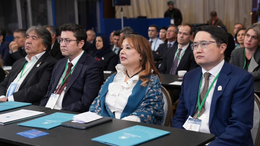 ЮНЕСКО: Түркі мәдениеті және мұрасы қоры ұсынған жобалар түркі әлемінің мәдени байлығын көрсетті