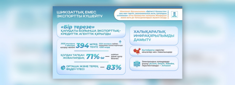 Президент жолдауындағы тапсырмаларды орындау: шикізаттық емес экспортты қаржылай қолдау көлемі 394 млрд теңгеге жетті