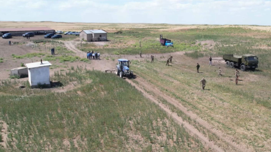 Жамбыл облысында 2500 тонна қарасора жойылды