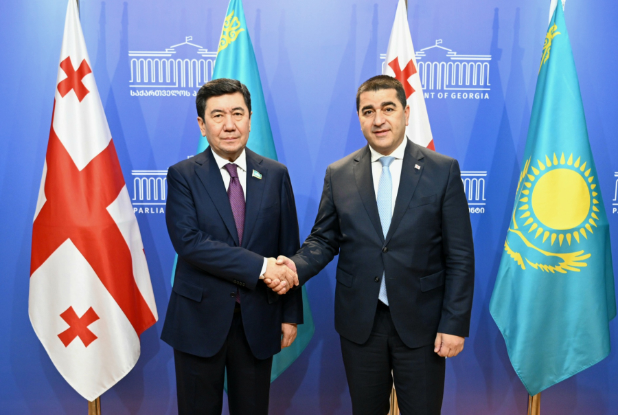 Қошанов грузиялық депутаттармен алдағы парламенттік реформаны талқылады