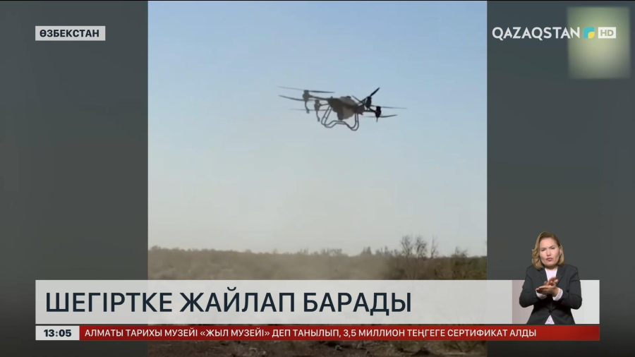 Өзбекстанда шегіртке қаптап кетті